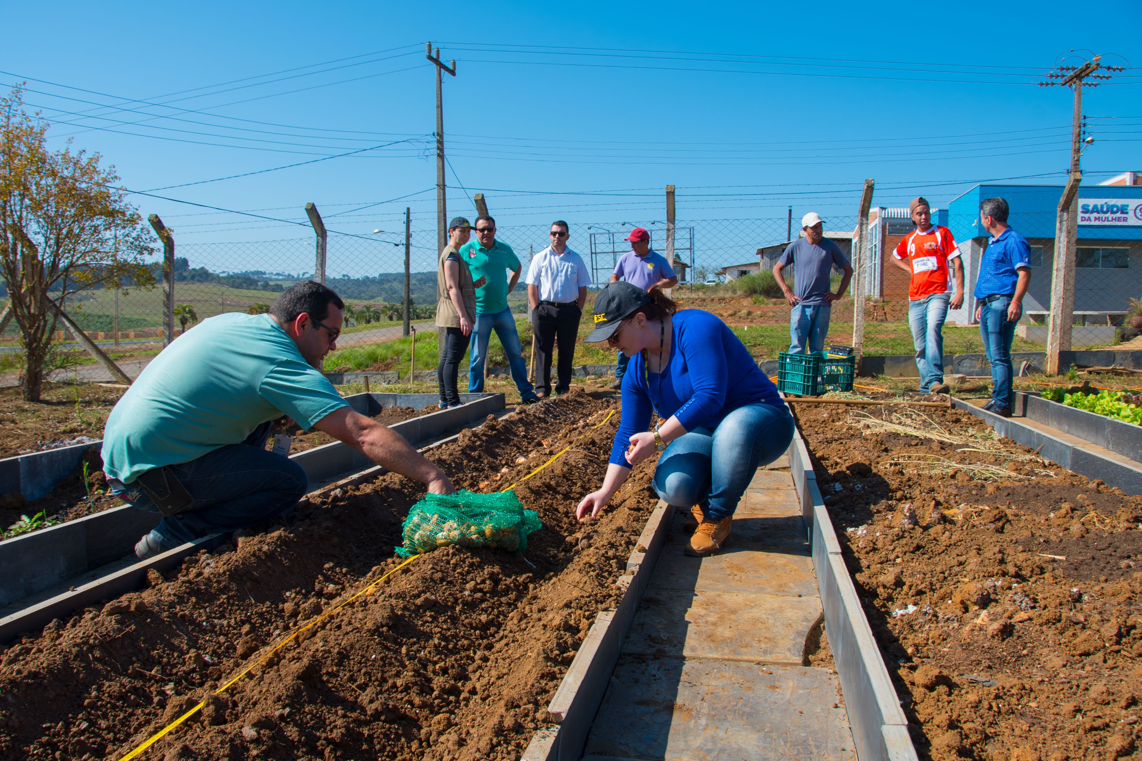 Equipe PhenoGlad amplia parcerias: Cultivo de Gladíolo no Horto Municipal de Ponte Alta do Norte